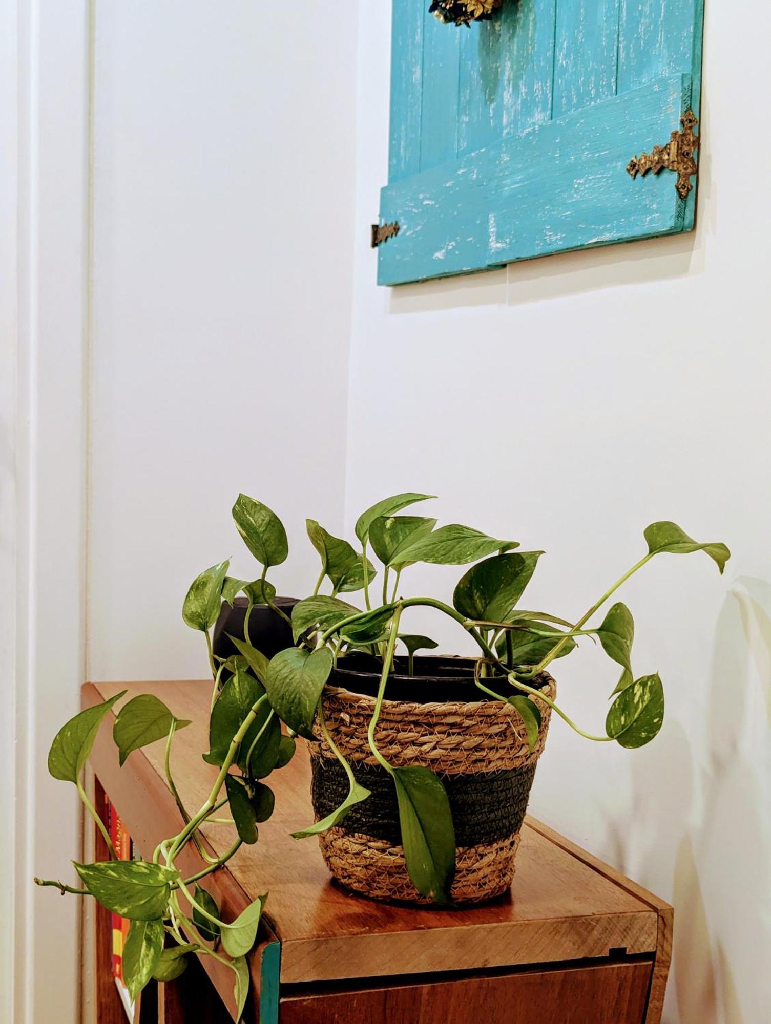 Apartamento Intrecci & Impasti Nápoles Exterior foto